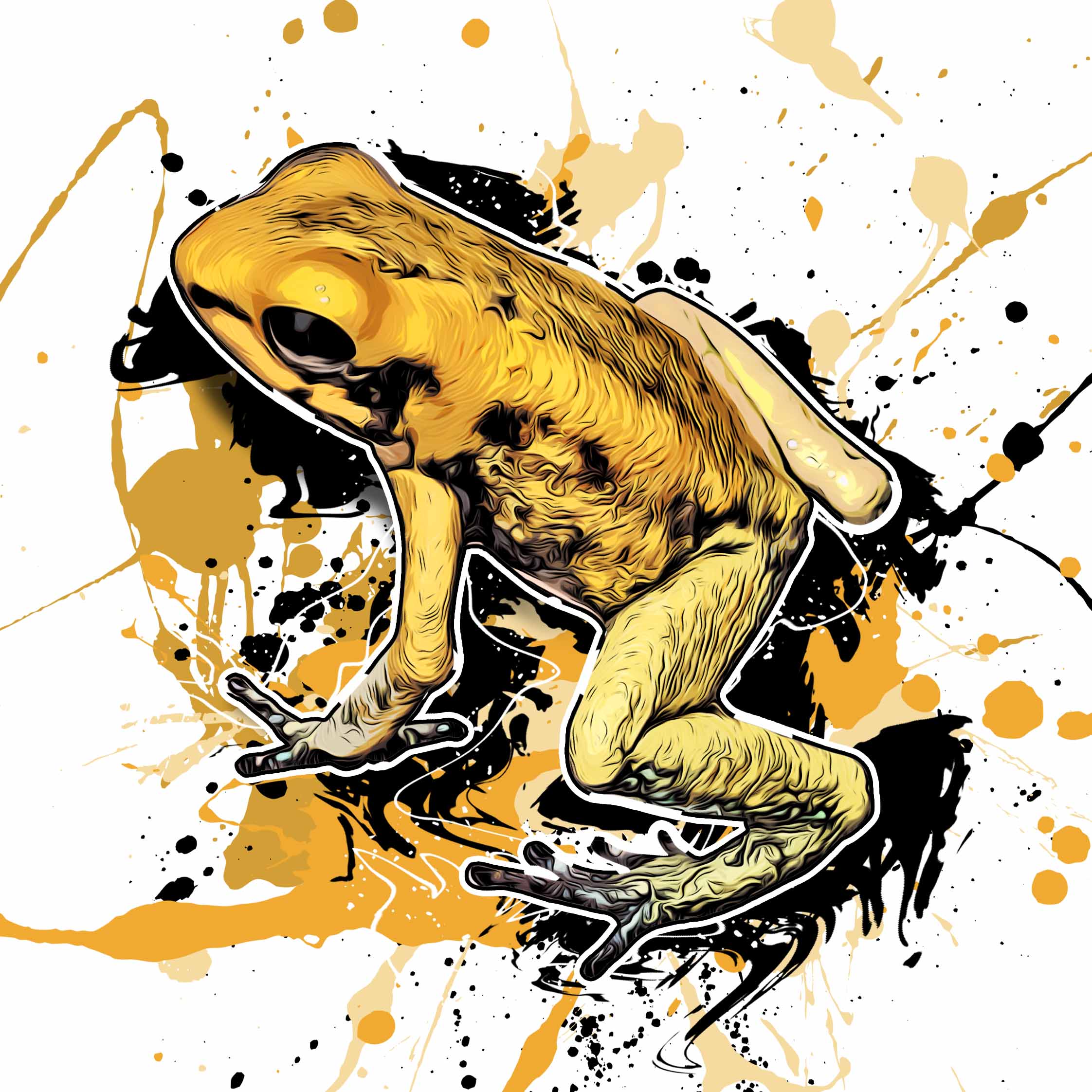 Phyllobates terribilis
