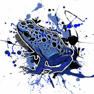 Dendrobates tinctorius azureus
