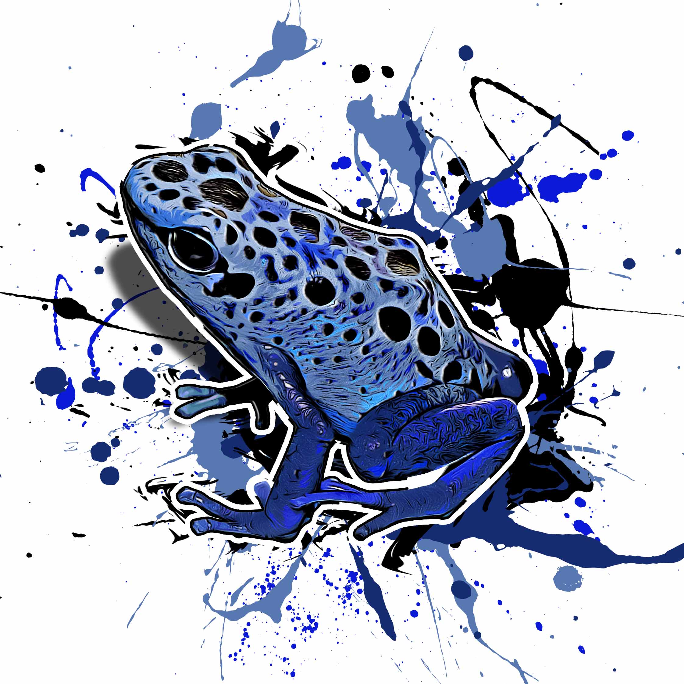 Dendrobates tinctorius azureus