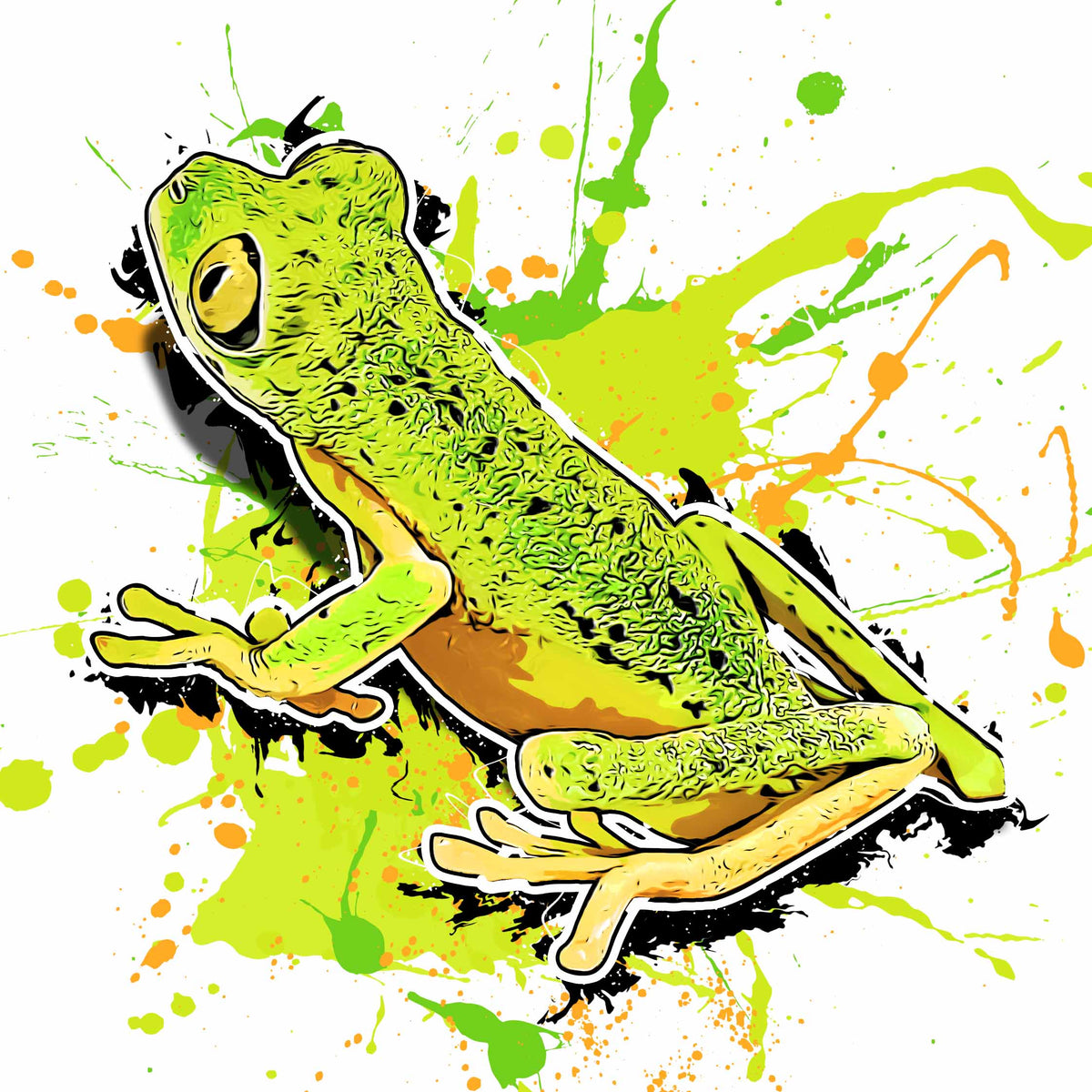 Agalychnis lemur