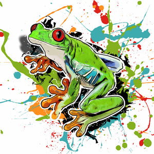 Agalychnis callidryas