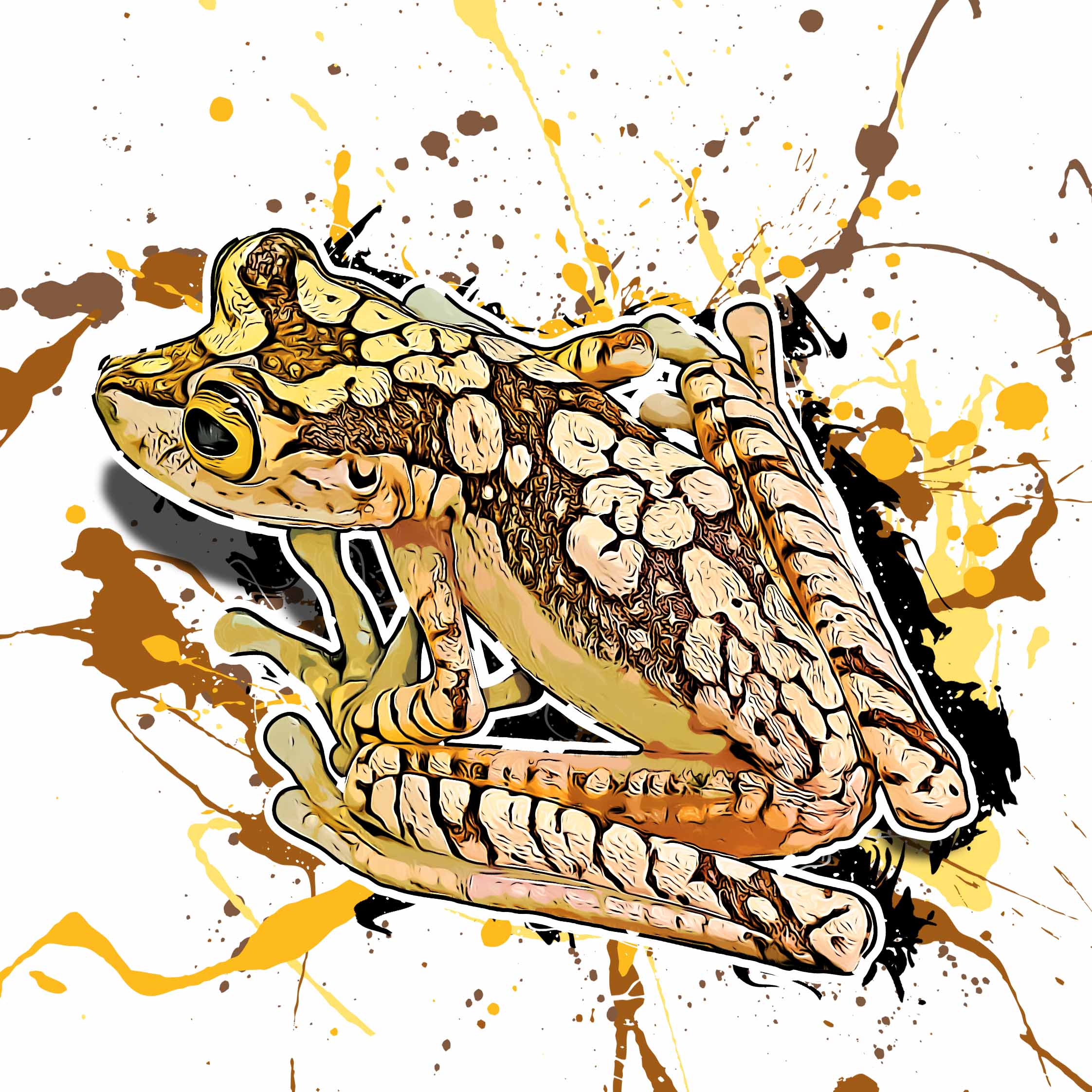 Boana picturata