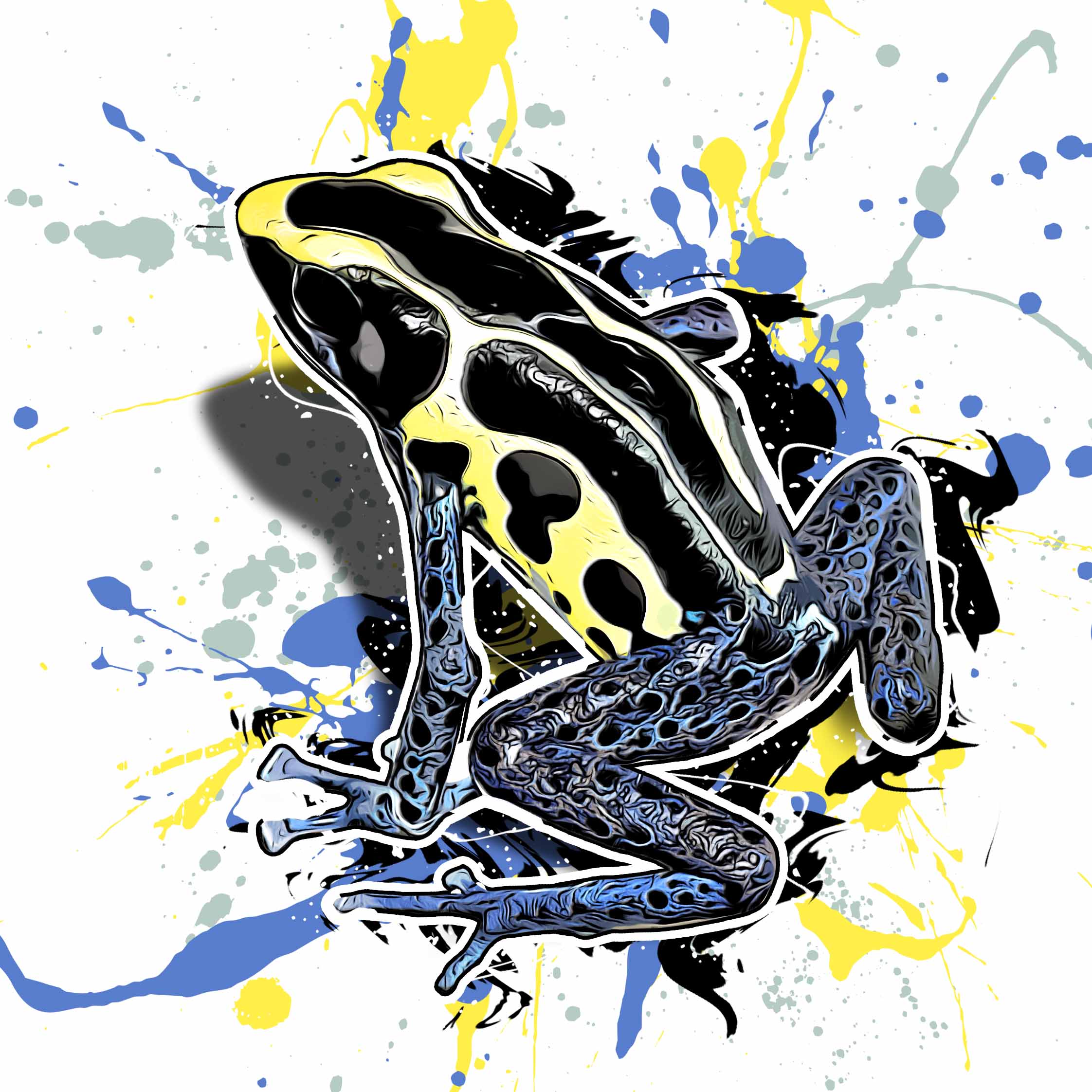 Dendrobates tinctorius Nikita