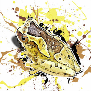 Dendropsophus ebraccatus