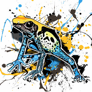 Dendrobates tinctorius Brasilianer