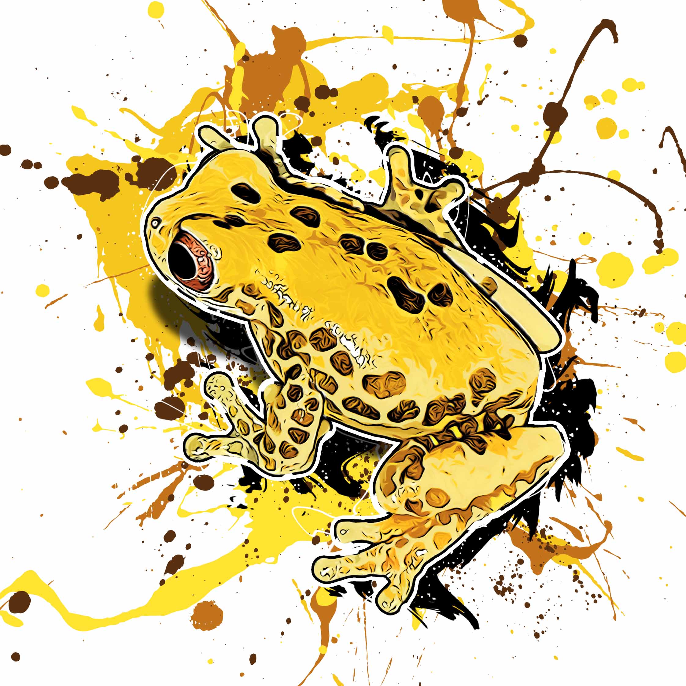 Dendropsophus reticulatus I