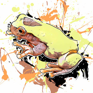 Dendropsophus reticulatus II
