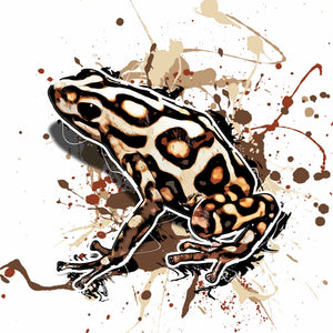 Dendrobates auratus Campana