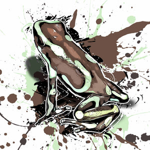 Dendrobates auratus Highland Bronze