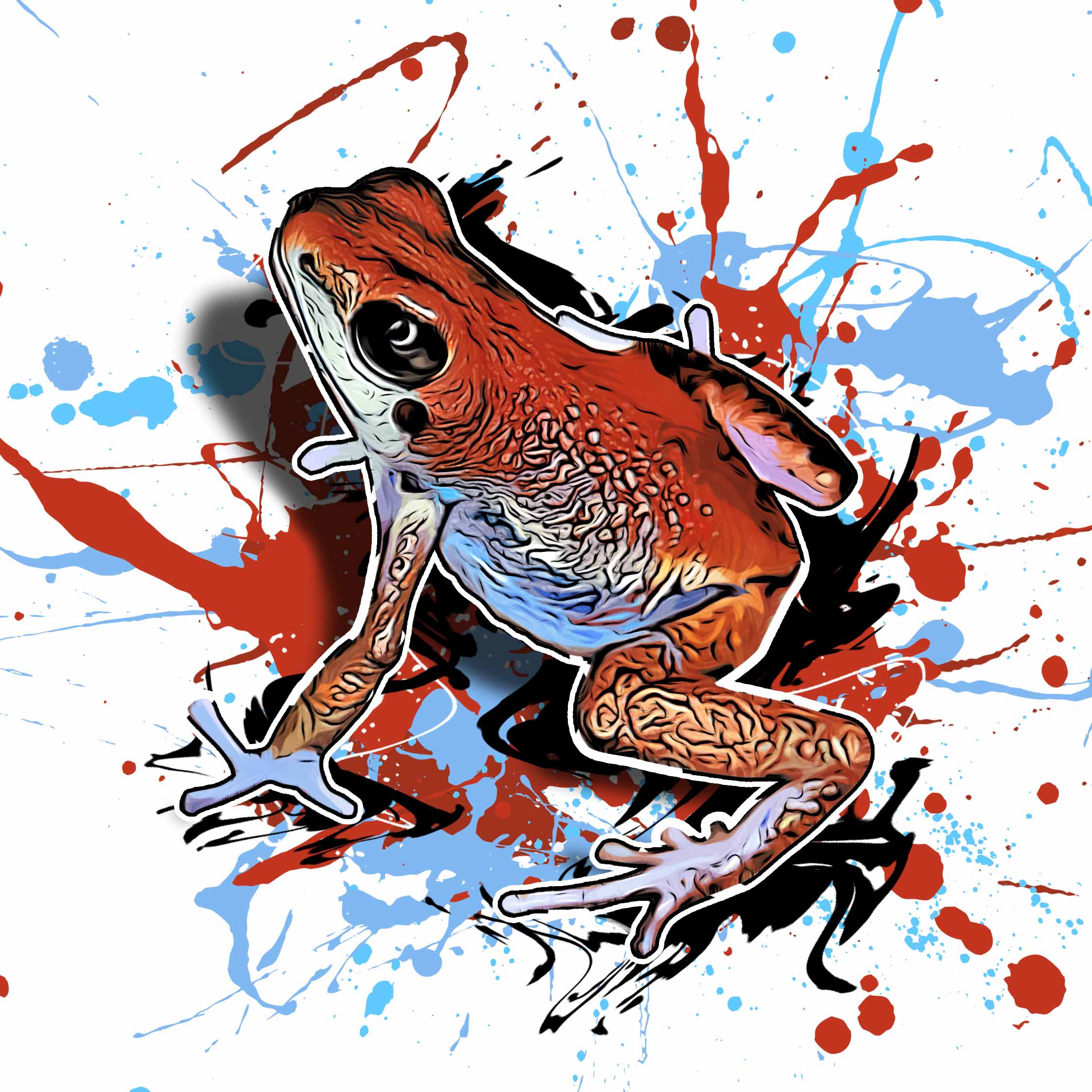 Oophaga sp. escudo