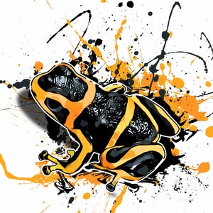 Ranitomeya summersi