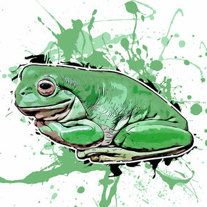 Litoria caerulea