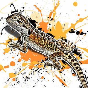 Pogona vitticeps
