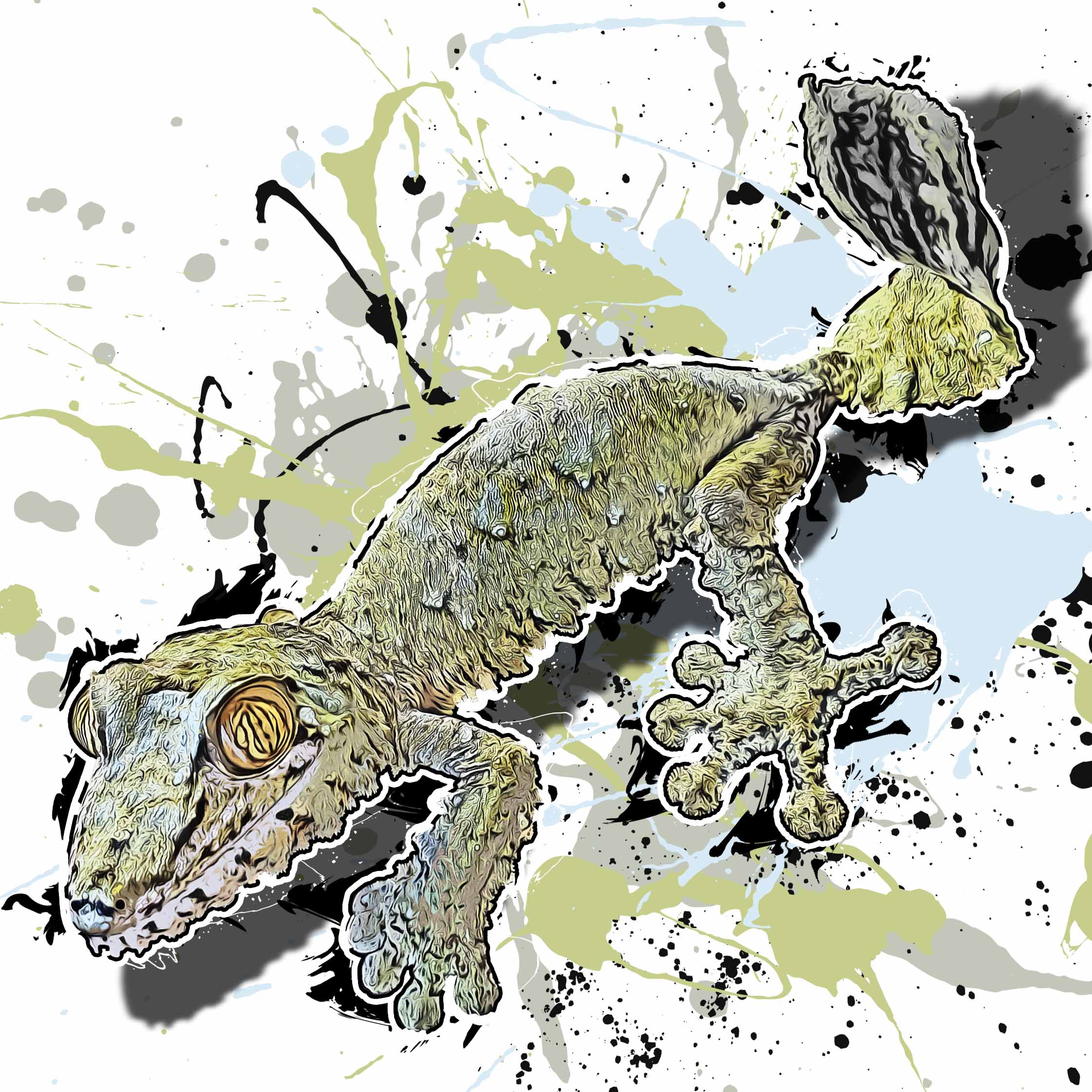Uroplatus fimbriatus