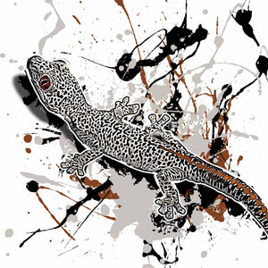 Strophurus taenicauda