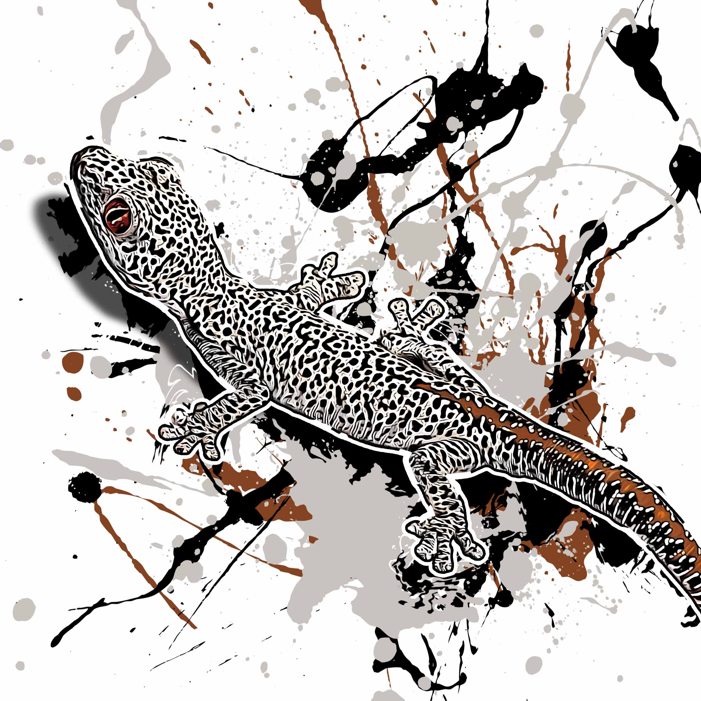 Strophurus taenicauda