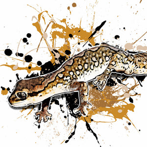 Diplodactylus granariensis