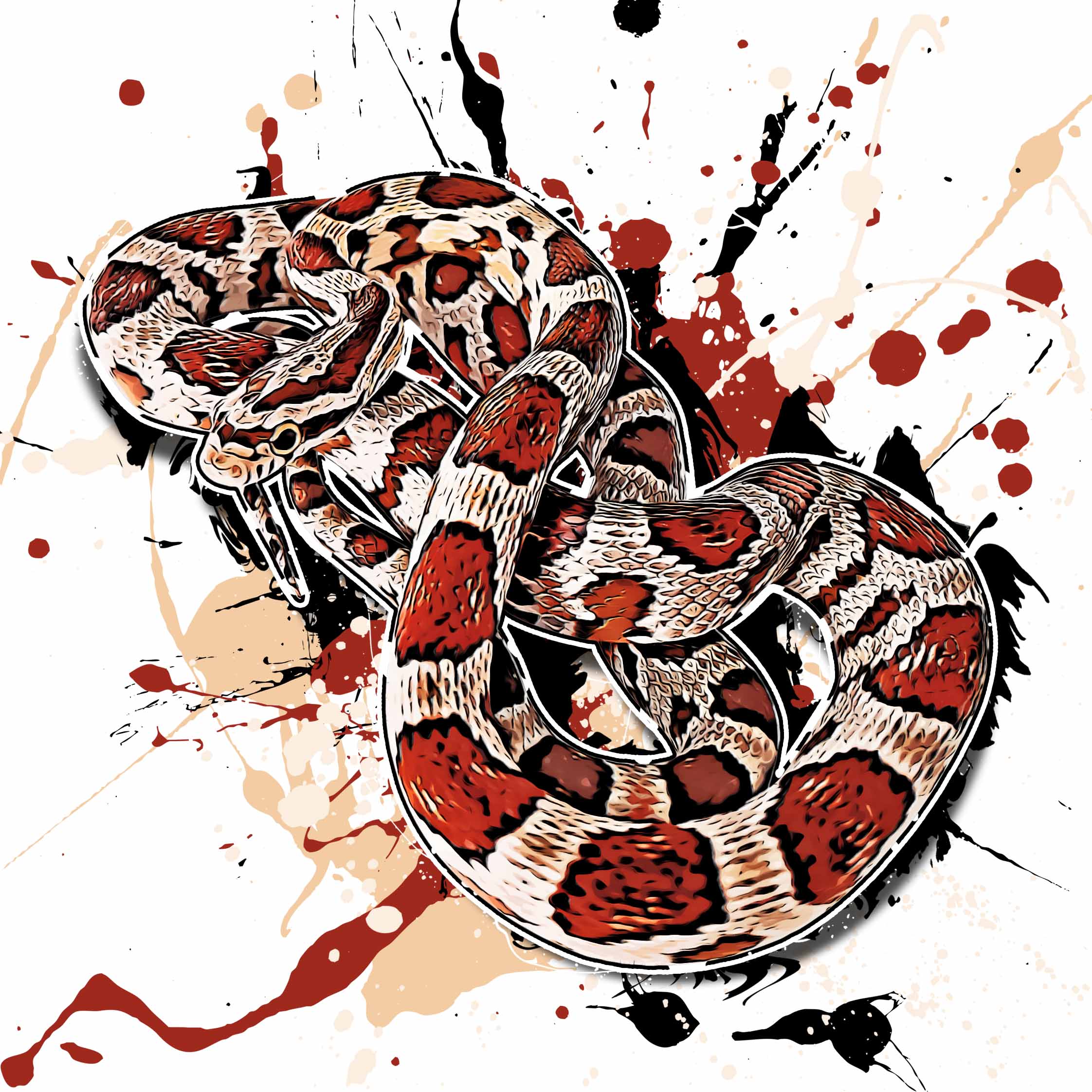 Pantherophis guttatus Miami