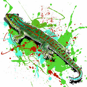 Phelsuma guimbeaui