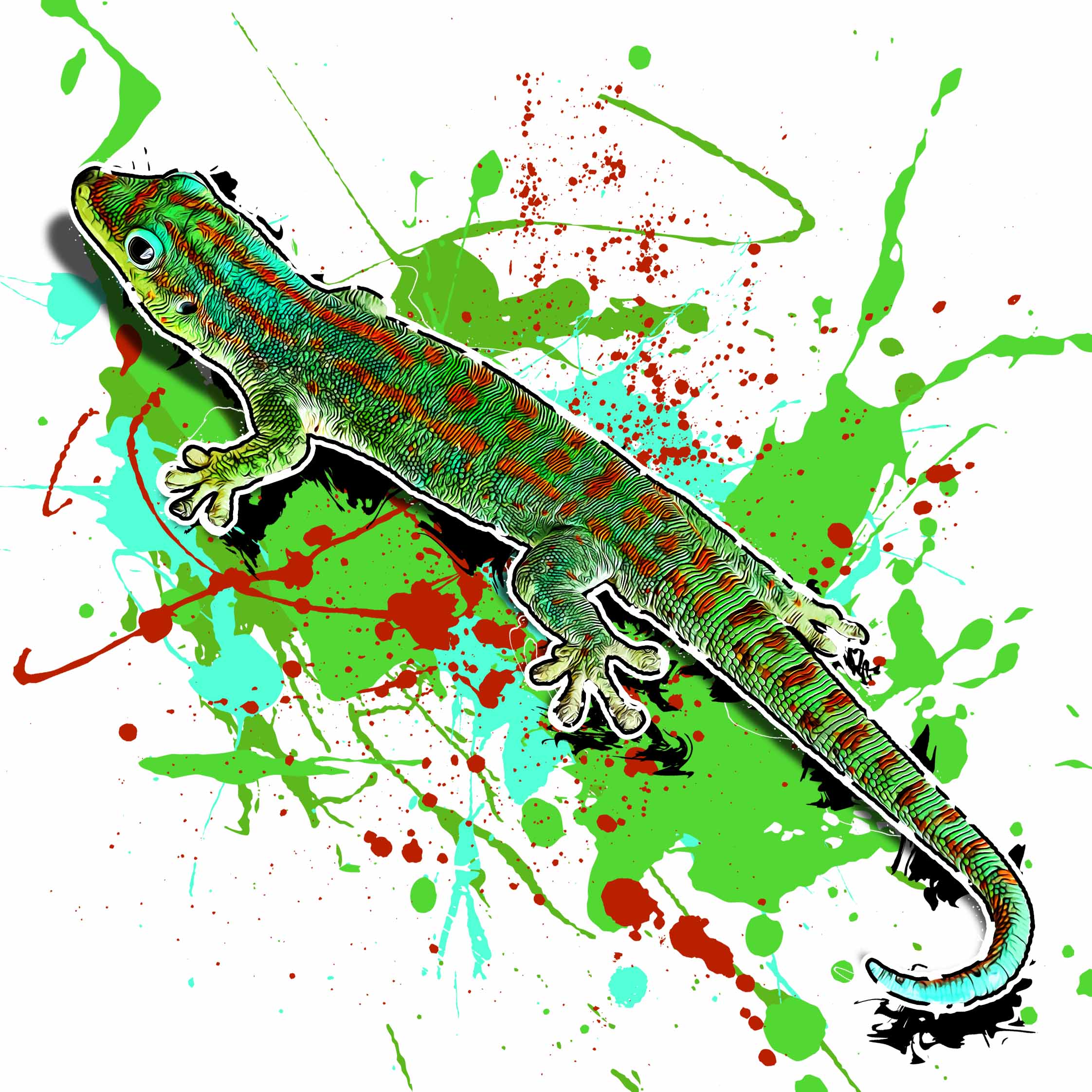 Phelsuma guimbeaui