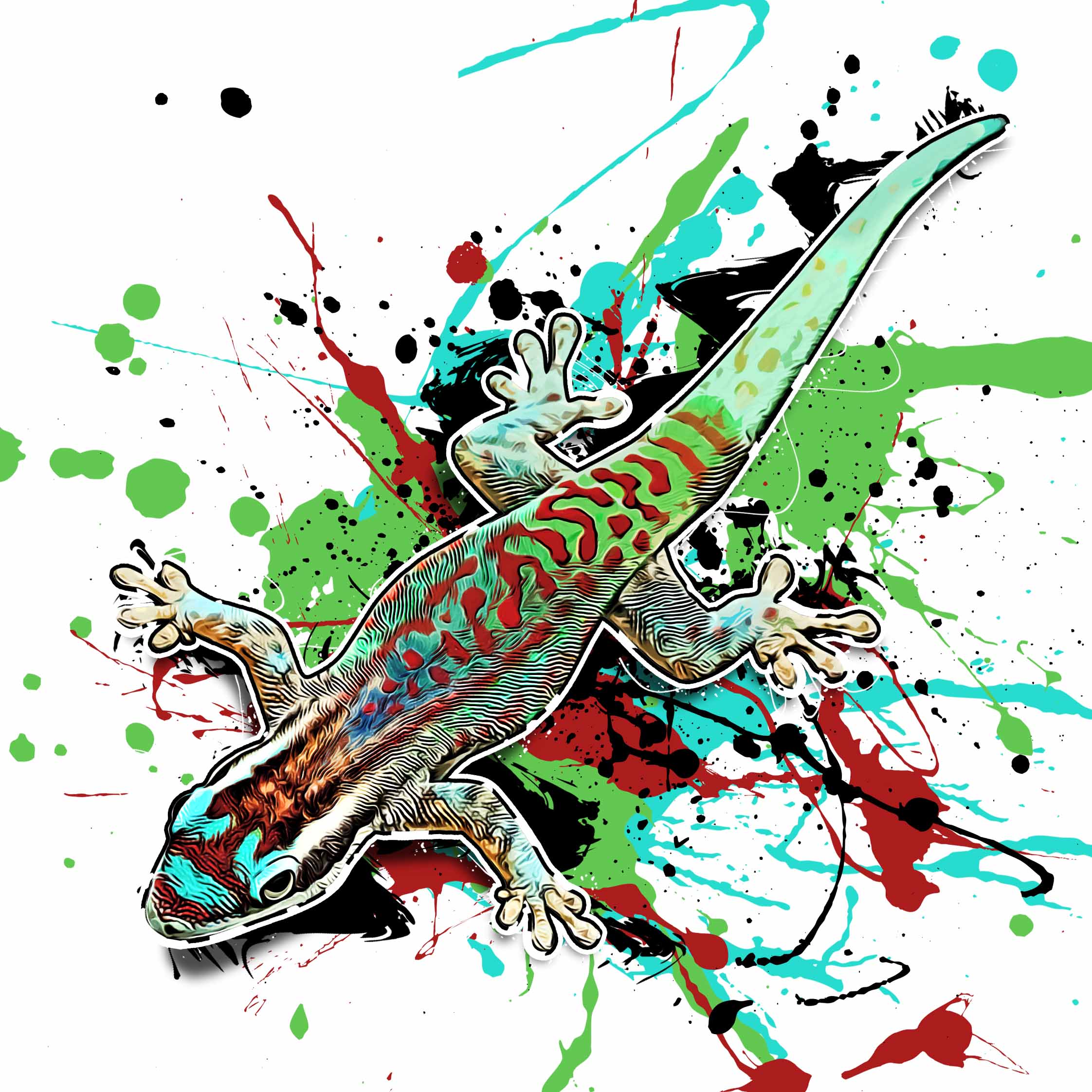 Phelsuma ornata