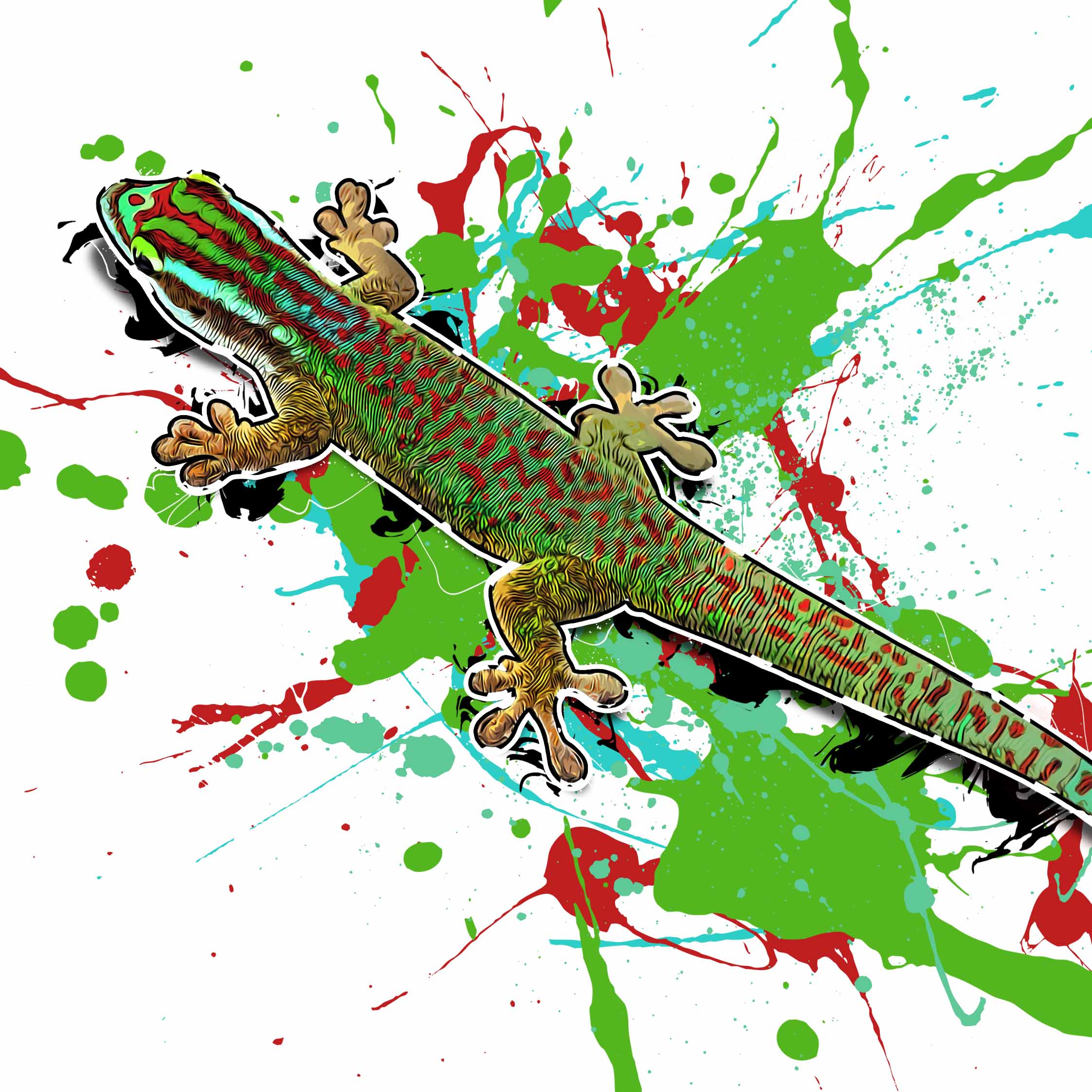 Phelsuma inexpectata