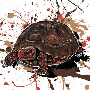 Chelonoidis carbonarius cherryhead