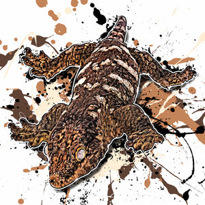 Rhacodactylus leachianus