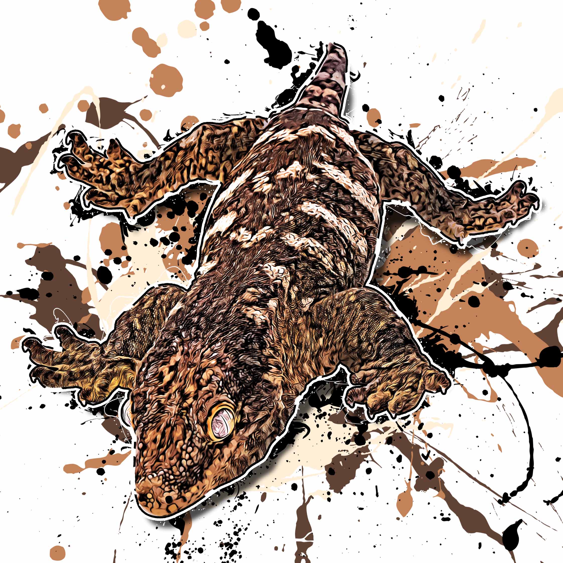 Rhacodactylus leachianus