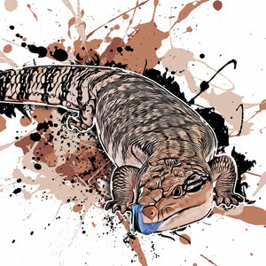 Tiliqua scincoides