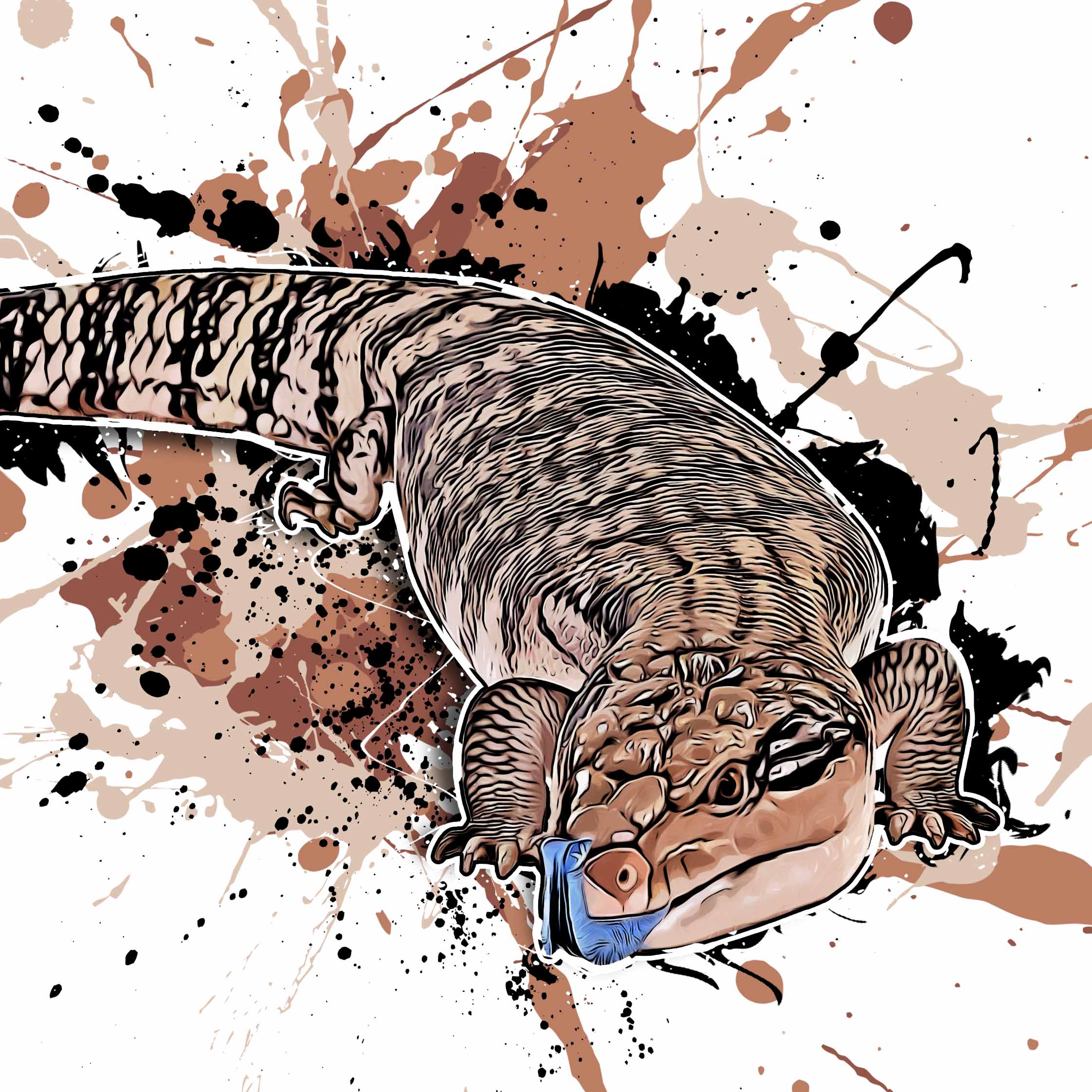 Tiliqua scincoides