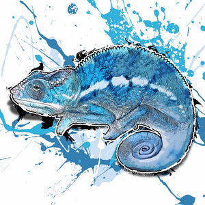 Furcifer pardalis