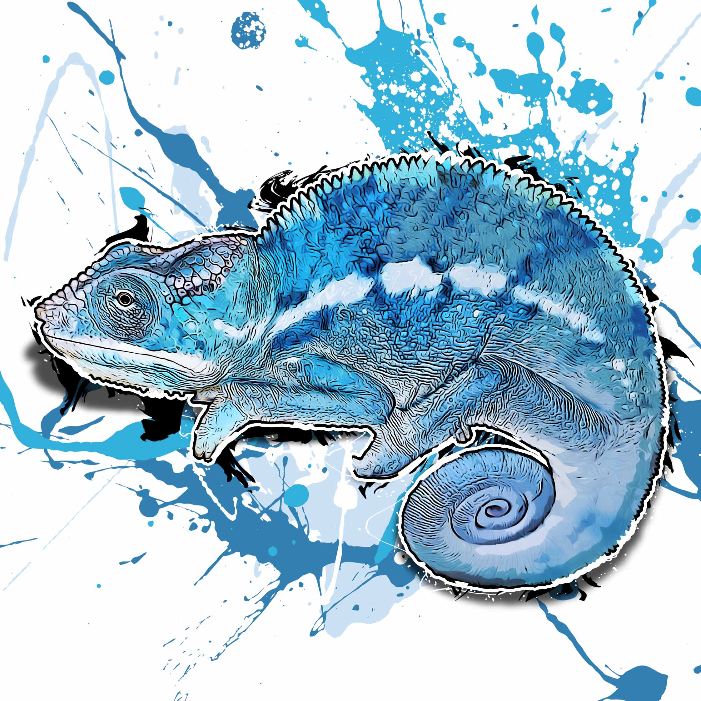 Furcifer pardalis