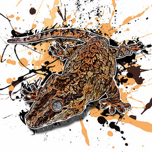 Rhacodactylus auriculatus
