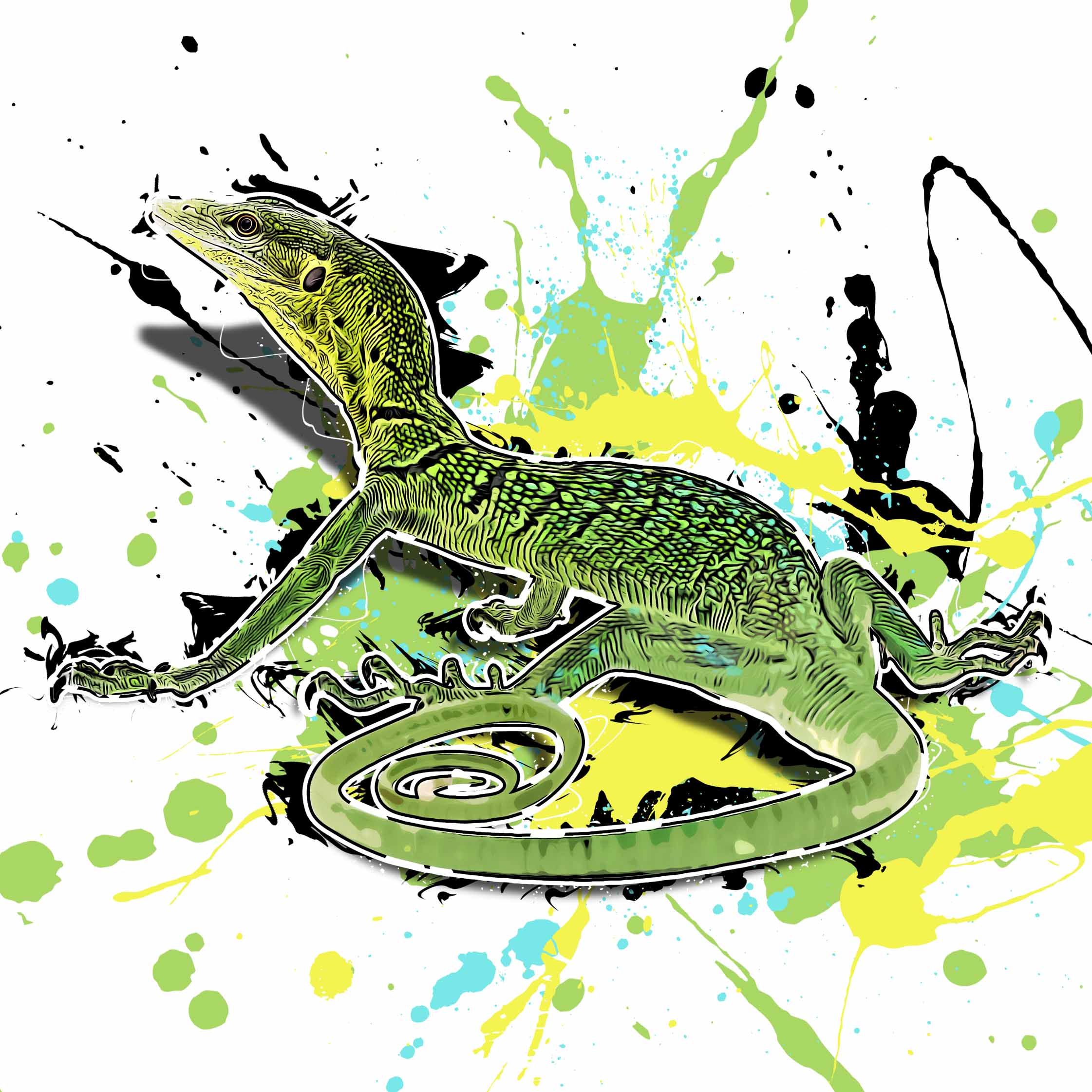 Varanus prasinus
