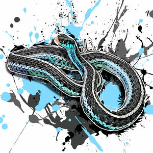 Thamnophis sirtalis similis