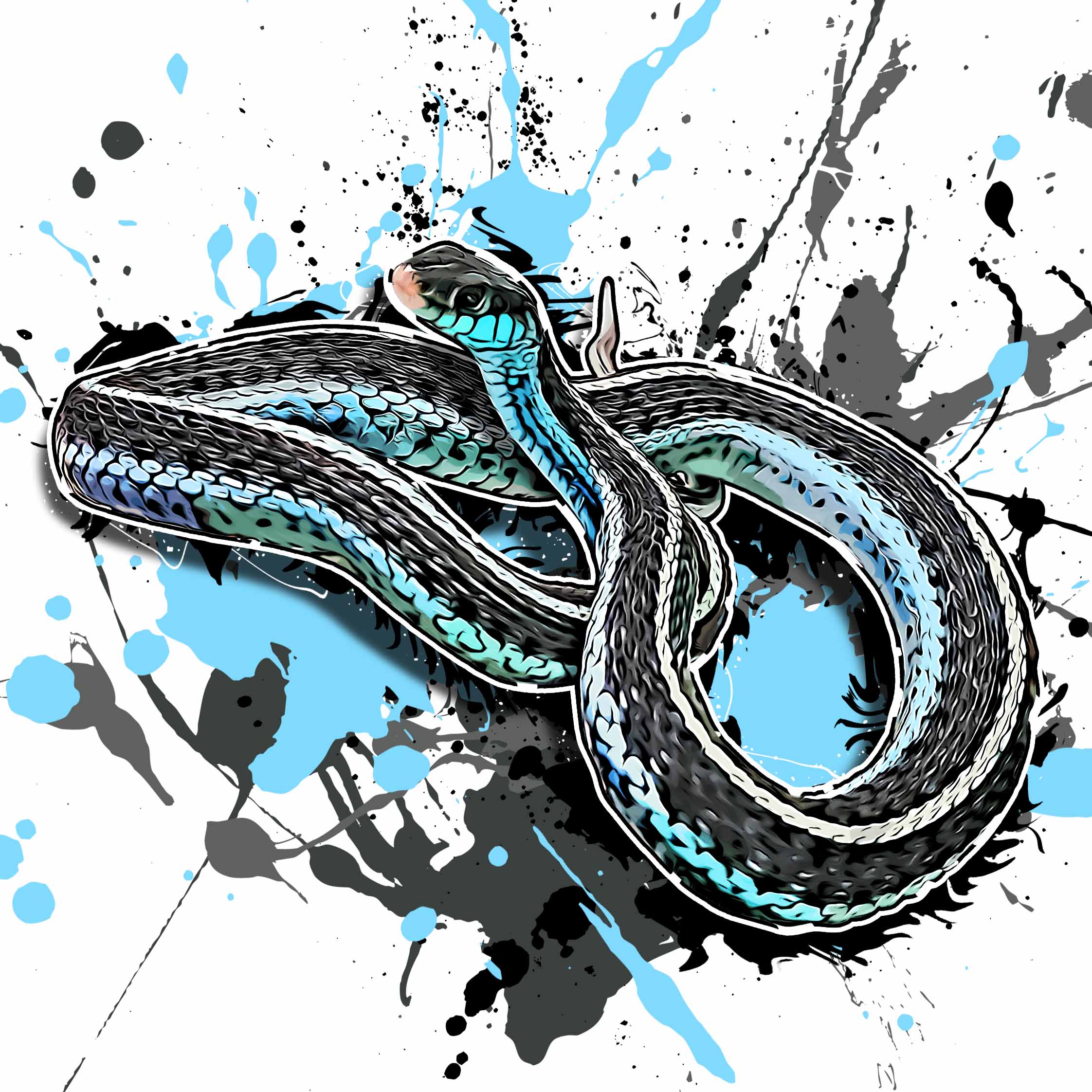 Thamnophis sirtalis similis