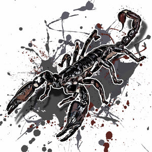 Heterometrus spinifer