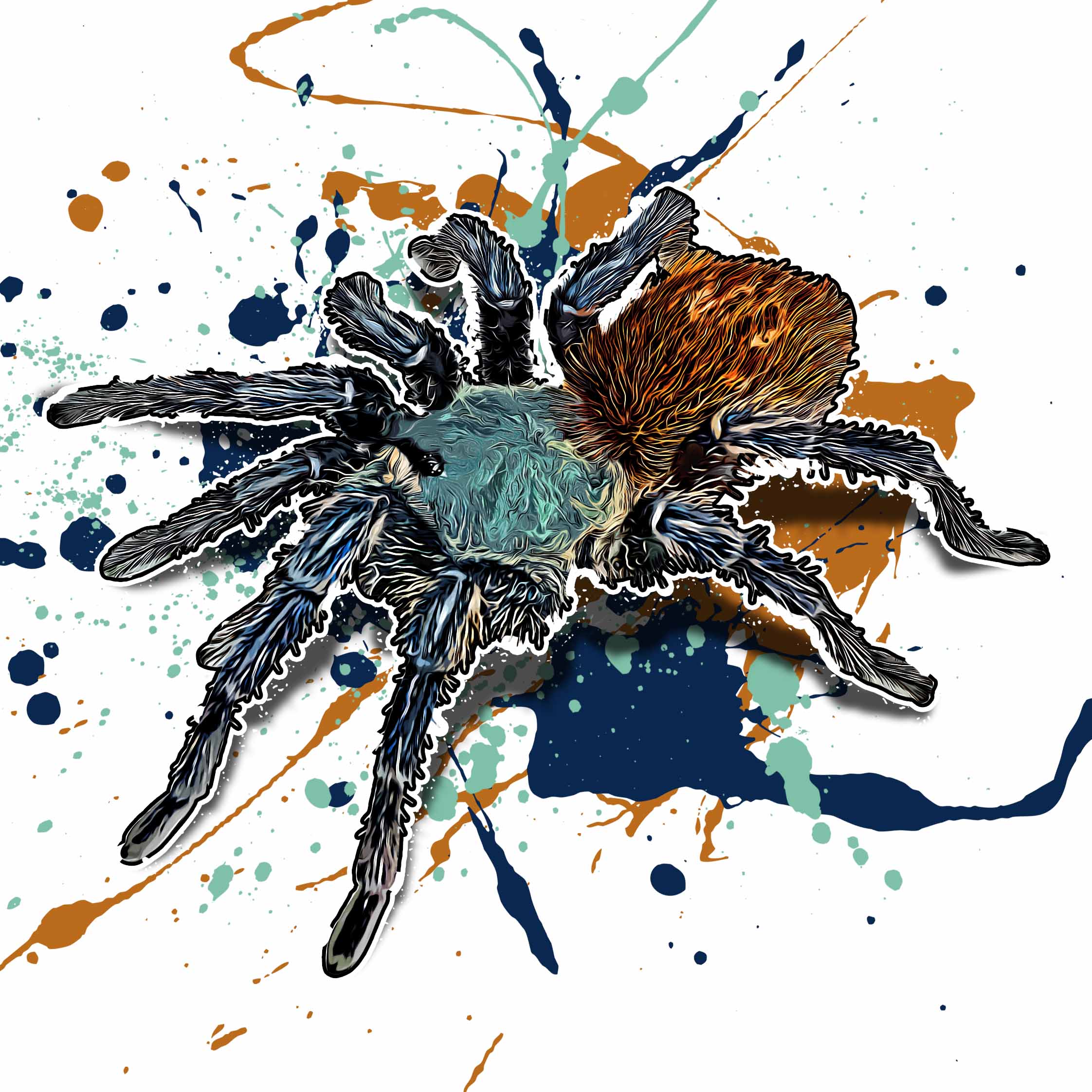 Chromatopelma cyaneopubescens