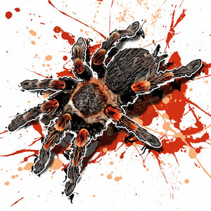Brachypelma hamorii