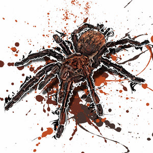 Theraphosa apophysis