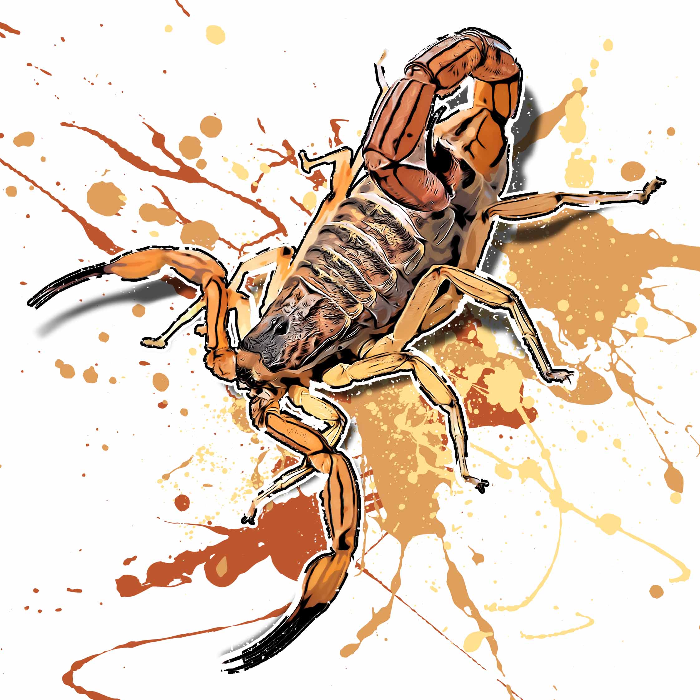 Tityus serrulatus