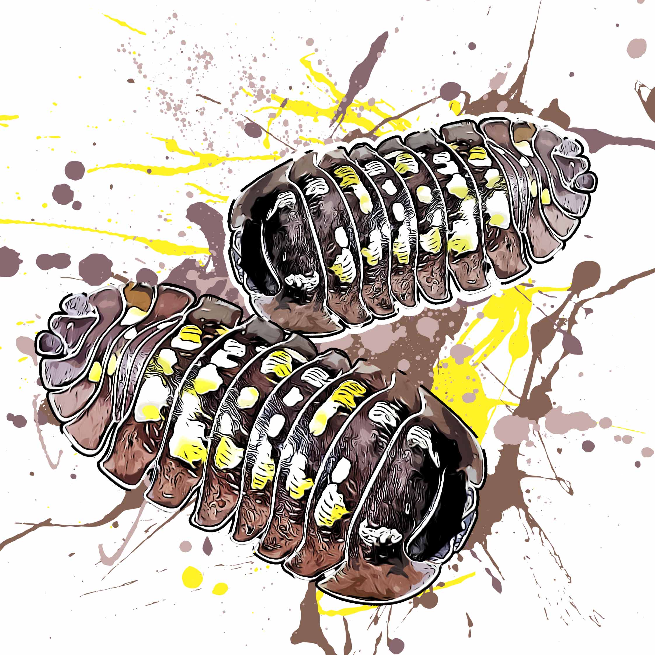 Armadillidium tirolense