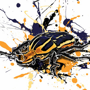 Mecynorhina torquata ugandensis