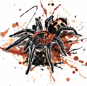 Cyriocosmus leetzi
