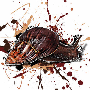 Lissachatina fulica