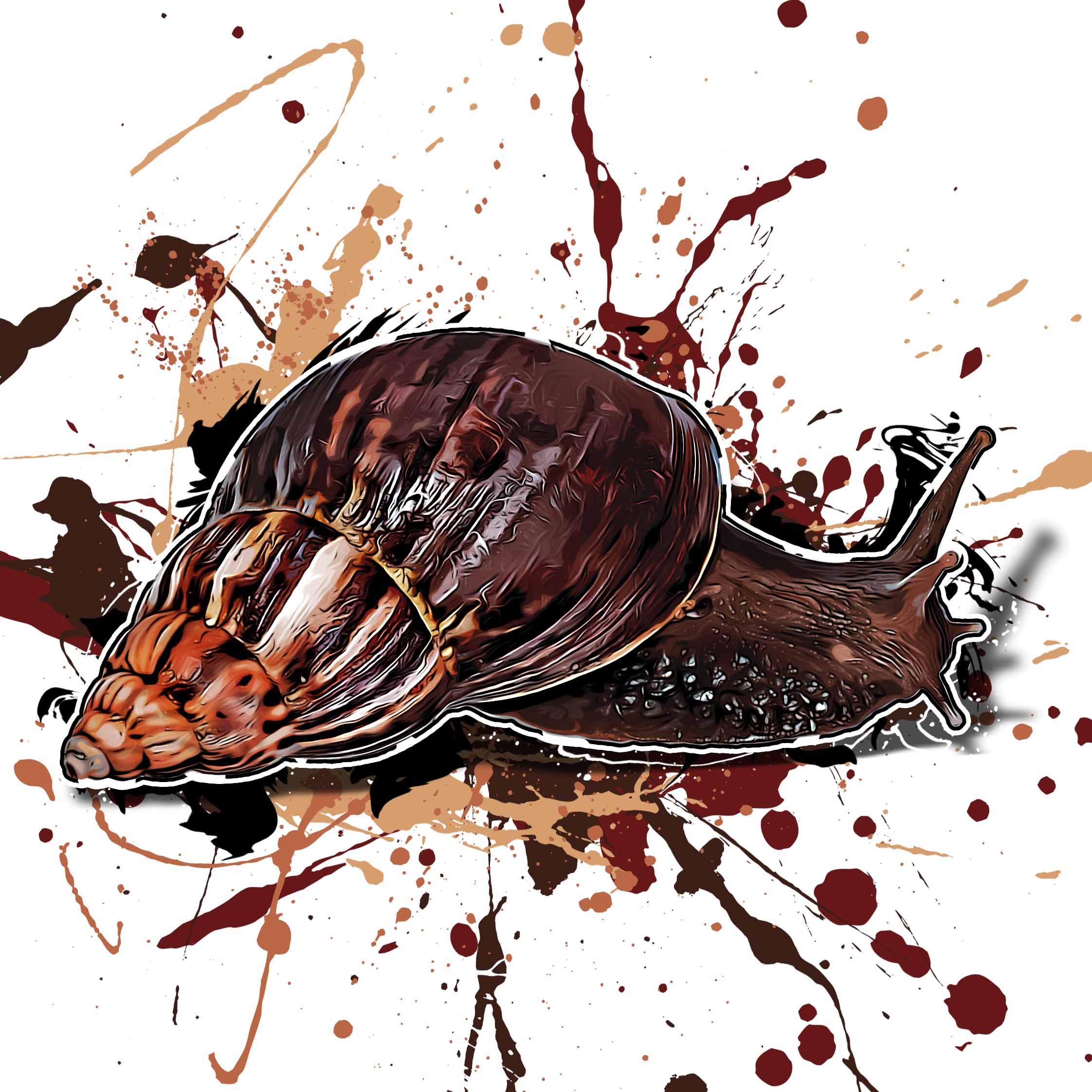 Lissachatina fulica
