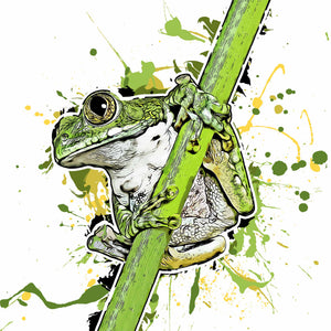 Leptopelis vermiculatus