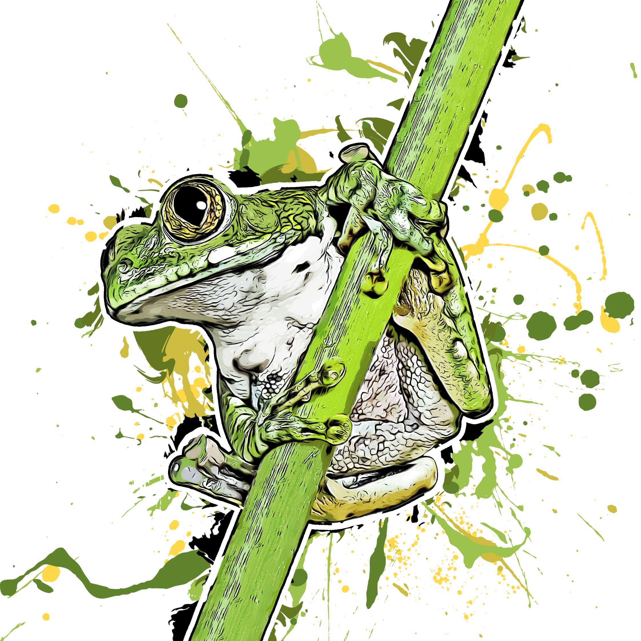 Leptopelis vermiculatus