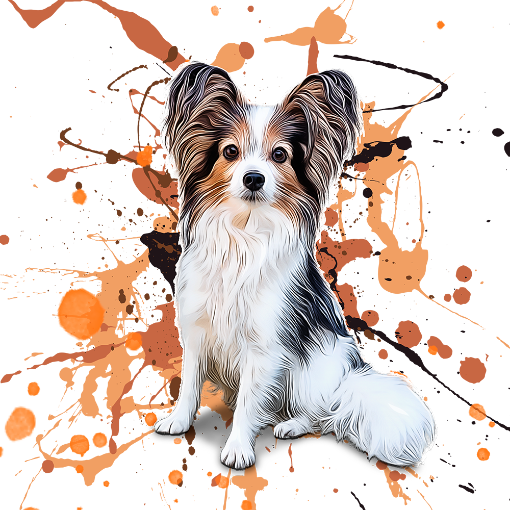 Papillon